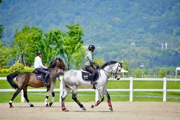Intl equestrian competition to open in Tonglu