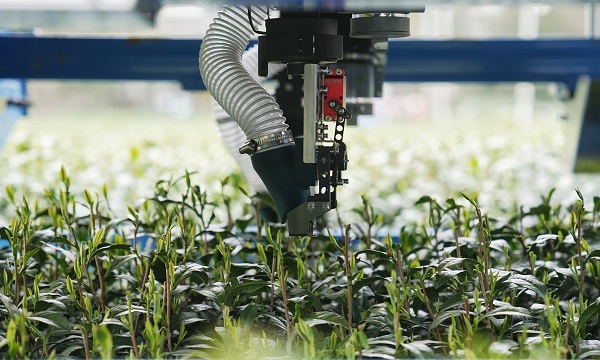 Technology empowers modern agriculture across China