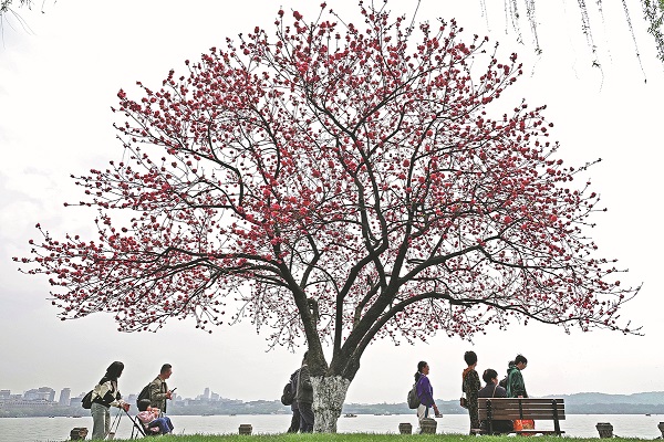 Spring blooms give a boost to tourism