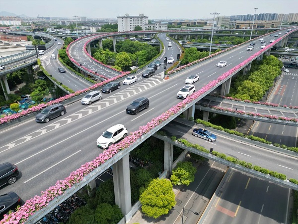 Secret garden in Yuhang fuels Hangzhou's overpass blooms