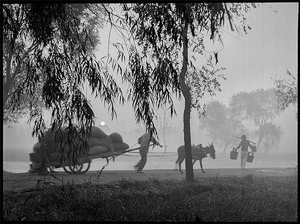 Photos chart the journey of Grand Canal