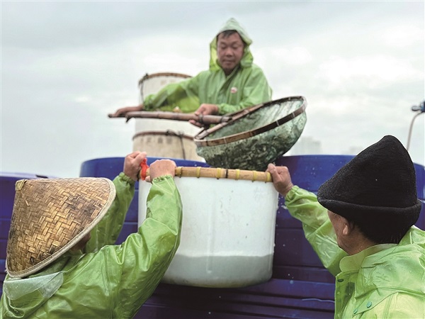 Delicious river fish return as Yiqiao's Sanjiangkou fishing season begins