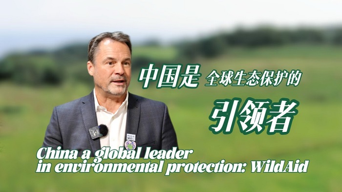 China a global leader in environmental protection