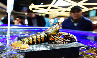 57.7 tons of Boston lobsters from Canada arrive in East China city