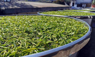 Hangzhou exports 1,700 tons of tea  this year