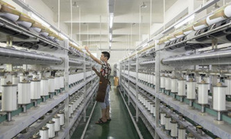 E-commerce platforms help develop 'super plant' in Zhejiang