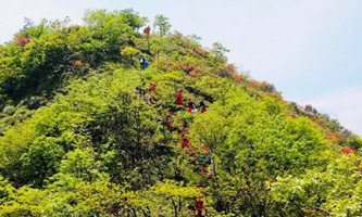 Hiking trail in Xiaoshan goes viral 