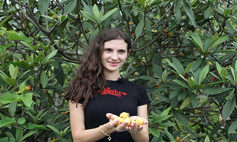 International friends sample fun of picking loquats in Hangzhou town