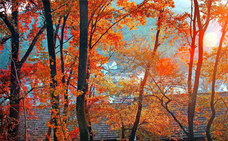 Autumn scenery of Zhinan village