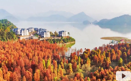 Hangzhou Eye episode 58: Beautiful and happy Lin'an